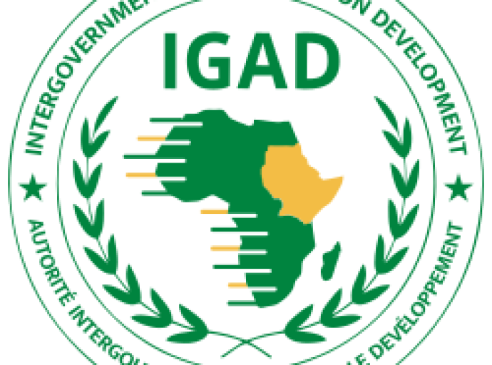 السودان يعود إلى «إيقاد» بوساطة جيبوتية